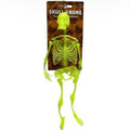 Szkielet świecący dekoracja Halloween fluorescencyjny